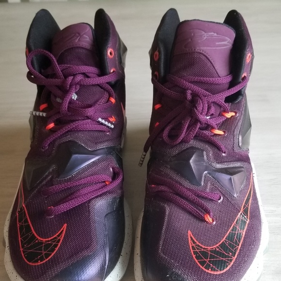 Nike Other - Mens Nike Lebron sneakers Nike Other - Mens Nike Lebron sneakers